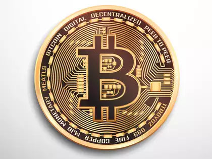 The Crypto Circle of Life: Why a Bull Run is Just Around the Corner